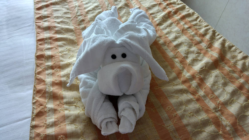 Towel puppy
