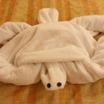 Towel turtle