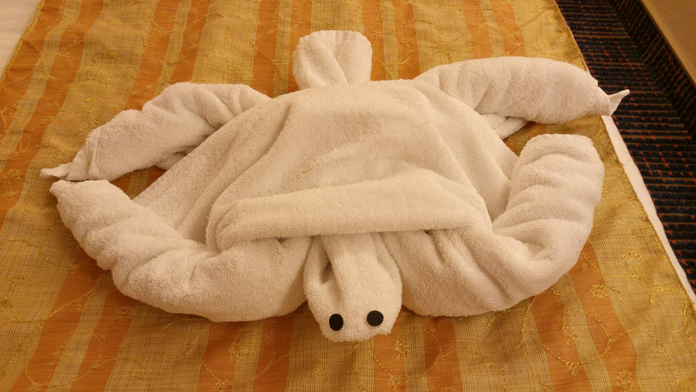 Towel turtle