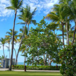 View of beach