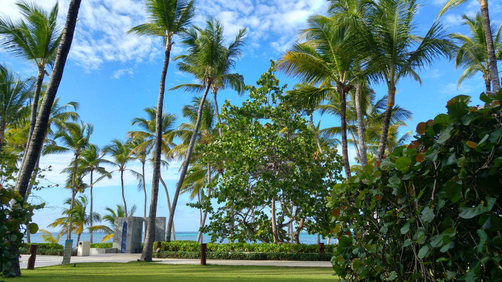 View of beach