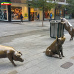 Rundle Mall pigs