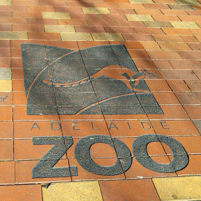 Adelaide Zoo bricks