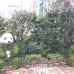 Panda garden