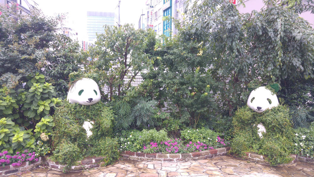 Panda garden