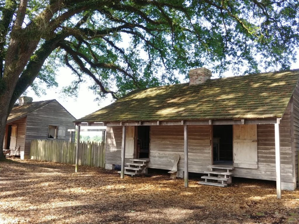 Evergreen slave house