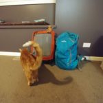 lily-new-orleans-goodbye