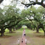 Oak Alley