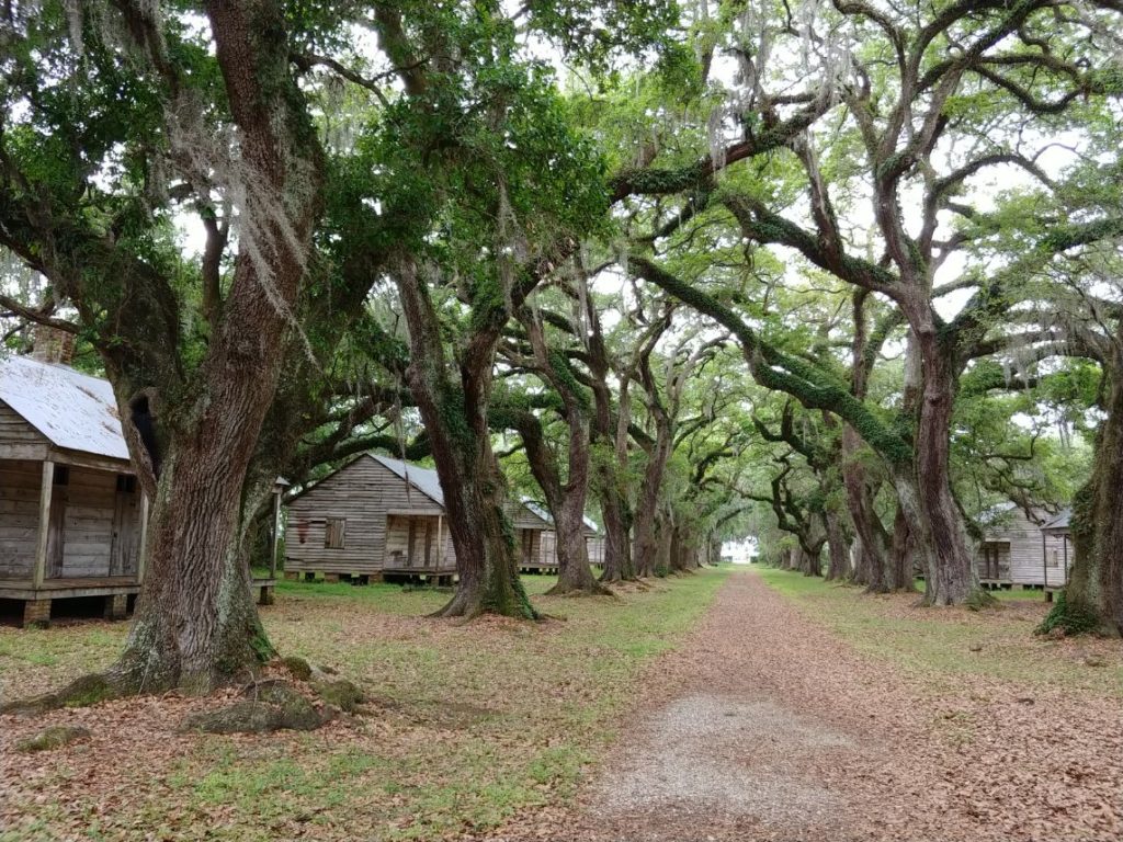 Evergreen Slave Houses