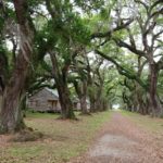 Evergreen Slave Houses
