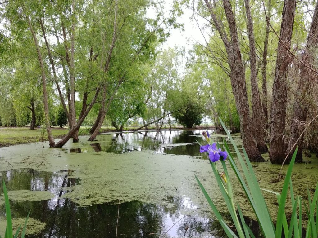 Whitney Plantation garden
