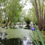 Whitney Plantation garden