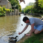 Cotswold ducks