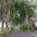 The Dark Hedges