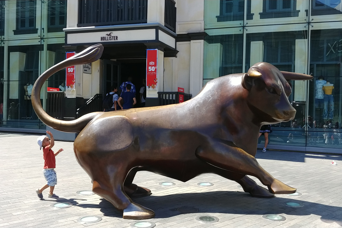 Birmingham Bull