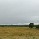 Culloden
