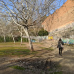 madrid-streets-linnie