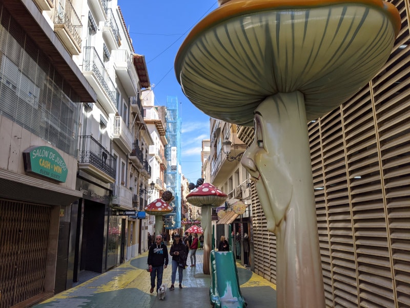 Alicante mushroom street