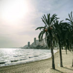 Alicante palm sunset