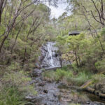 beedelup-falls