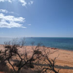 canoo-view