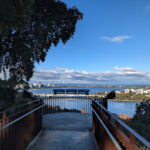 kings-park-view