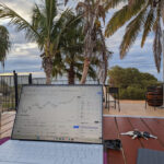 monkey-office