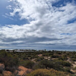 monkey-view