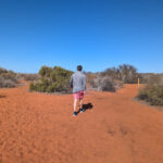 monkey-walk