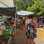 darwin-market