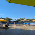 darwin-wavepool