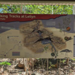 edith-falls-walking-tracks
