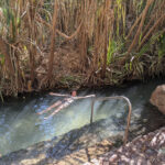 katherine-hot-springs
