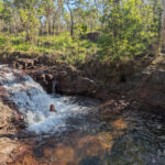 litchfield-swim