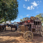 longreach-coach