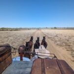 longreach-ride
