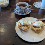 longreach-scones