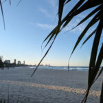 palm-beach-grocery-walk