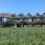 painted-ladies