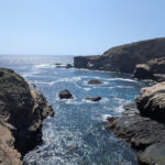 point-lobos