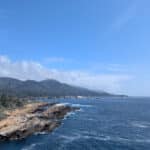point-lobos-2
