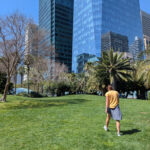 rooftop-garden-linnie